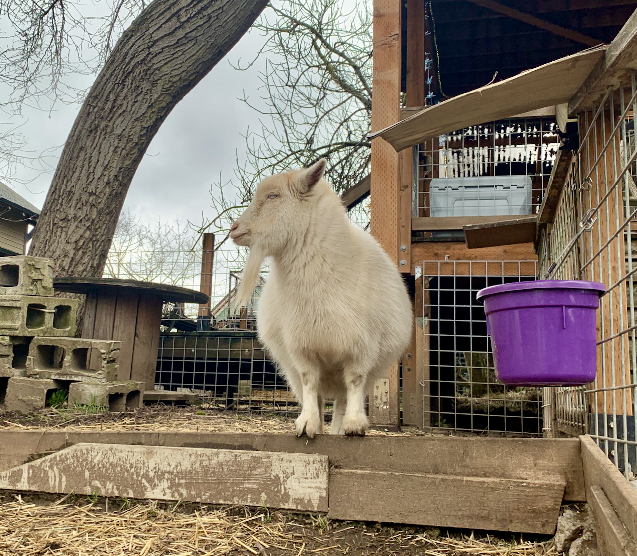 I HAVE BEEN THINKING ABOUT IT A LOT AND I AM COOL WITH IT